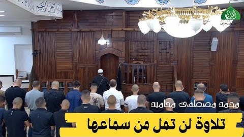 عشائية جميلة .. تلاوة خاشعة| بصوت القارئ محمد مصطفى محاميد | سورة الروم