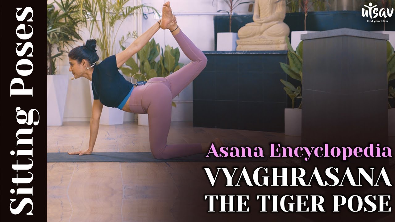 Tiger Pose (Vyaghrasana)
