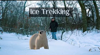 Saskatoon, Winter 🥶 Hiking 🥾 in Deep Icy ❄️Forest.