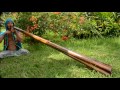 Didgeridoo sale