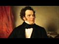 Miniature de la vidéo de la chanson Symphony No. 2 In B-Flat Major D.125: Iii Menuetto: Allegro Vivace - Trio