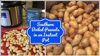 Southern Boiled Peanuts in an Instant Pot | Cooking for Two