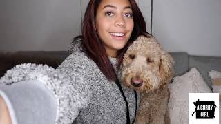 Updated Q&A | Babies?, Therapy, Watch Me Get Emotional About My Hubby | Sydel Curry-Lee Updated Q&A | Babies?, Therapy, Watch Me Get Emotional About My Hubby | Sydel Curry-Lee