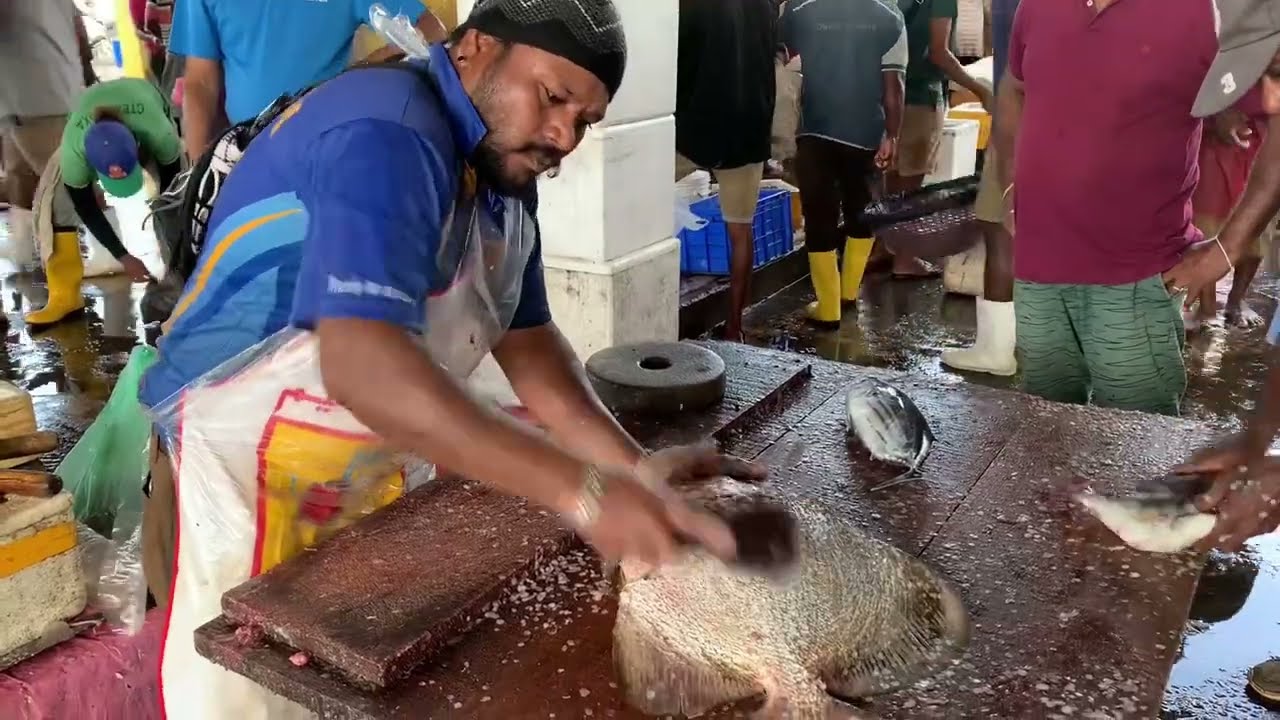 Bat Fish Butchery! Techniques for Precision and Speed Fish cutting Skills