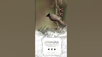 القارئ رعد محمد الکردي سورة الاحزاب ما شاء اللە تلاوة الحزینة حالات واتس اب راحة قلبك