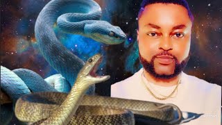 Python, Black snake and Brown Snake in Dream Meaning and Spiritual Solution