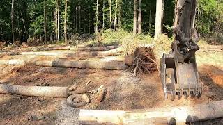 Hauling Wood And More Clearing On The Homestead Project