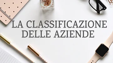 Quali sono i tipi di aziende?