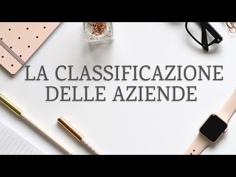 La Classificazione delle Aziende ed il loro Processo Produttivo - Economia Aziendale per tutti