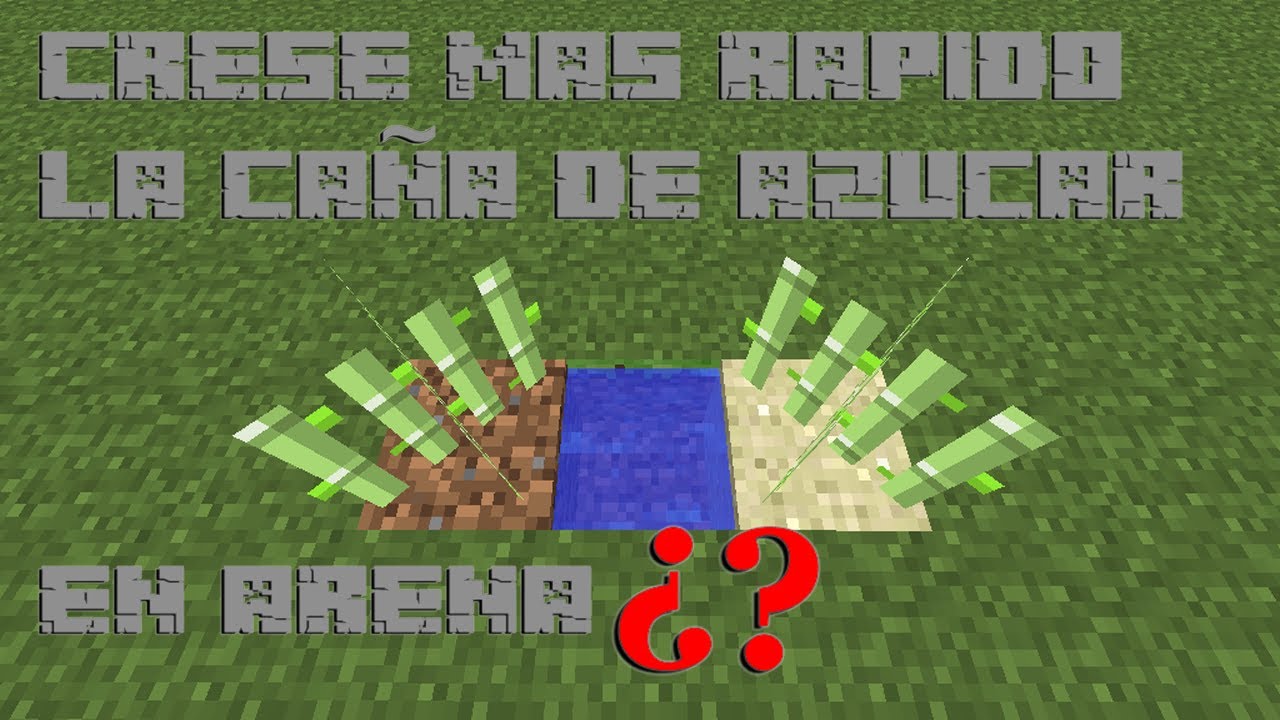 [Minecraft] ¿Crece más rapido la caña de azucar en arena? - YouTube