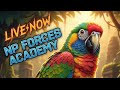 Jungle Birb ForestCalm Tropical Rainforest Bird Room Sounds to Relax Your Parrot Parrot Town TV