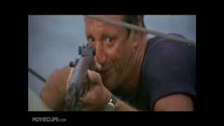 Martin Brody Shoots The Queen Of Hearts