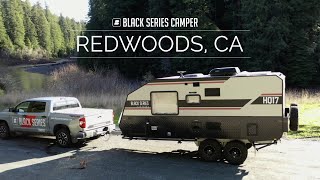 Redwoods Adventure! Black Series Camper: Caravans, trailers and campers