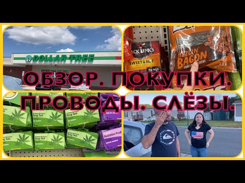 Видео: Есть ли в Dollar Tree рамы?