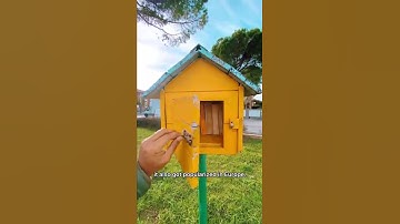 The Free Little Library #youtubeshorts