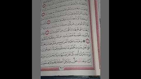 القارئ علاء محمد (ماتيسر من سورة القصص)