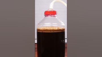 Fermentation Time-lapse