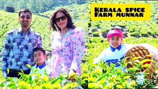 Munnar spice garden | કેરળ ના મસાલા  केरल के मसाले | kerala spice farm | plantation | Gujarati vlog