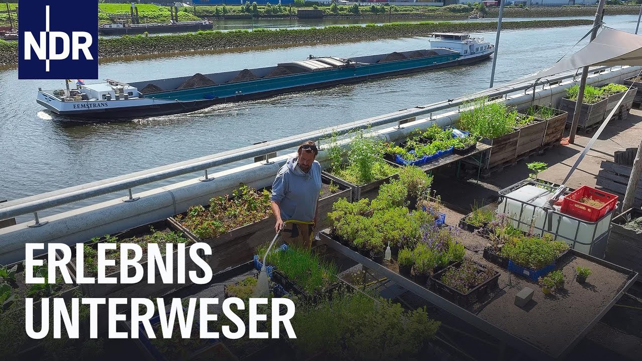 Unterweser: Mit Hafenkante, Großstadtflair und Inselidylle | die nordstory | NDR Doku