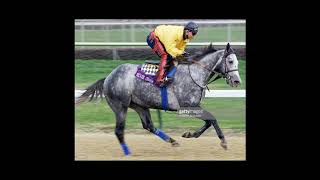[Wikipedia] 1997 Kentucky Derby