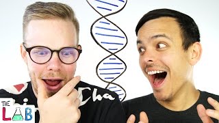 Our DNA Test Results! | The LAB