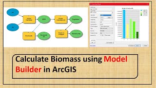 Calculate Biomass using Model Builder in Arcmap