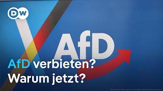 AfD-Verbot: Kann der Vorstoß von 1000 Juristen klappen?