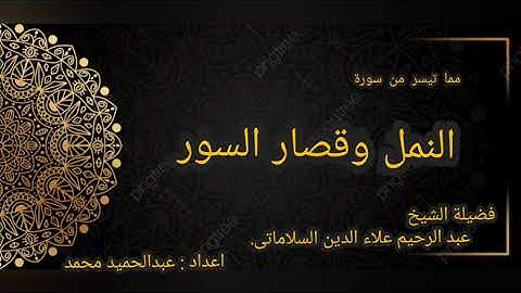 الشيخ عبد الرحيم علاء الدين السلاماتي | مما تيسر من سورة النمل وقصار السور