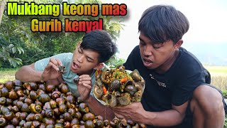 Mencari, memasak dan mukbang keong sawah balado gurih kenyal. Catch and cooking snails