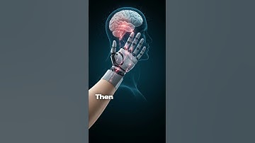 🦾  “AI-Powered Prosthetics That Feel Touch!”