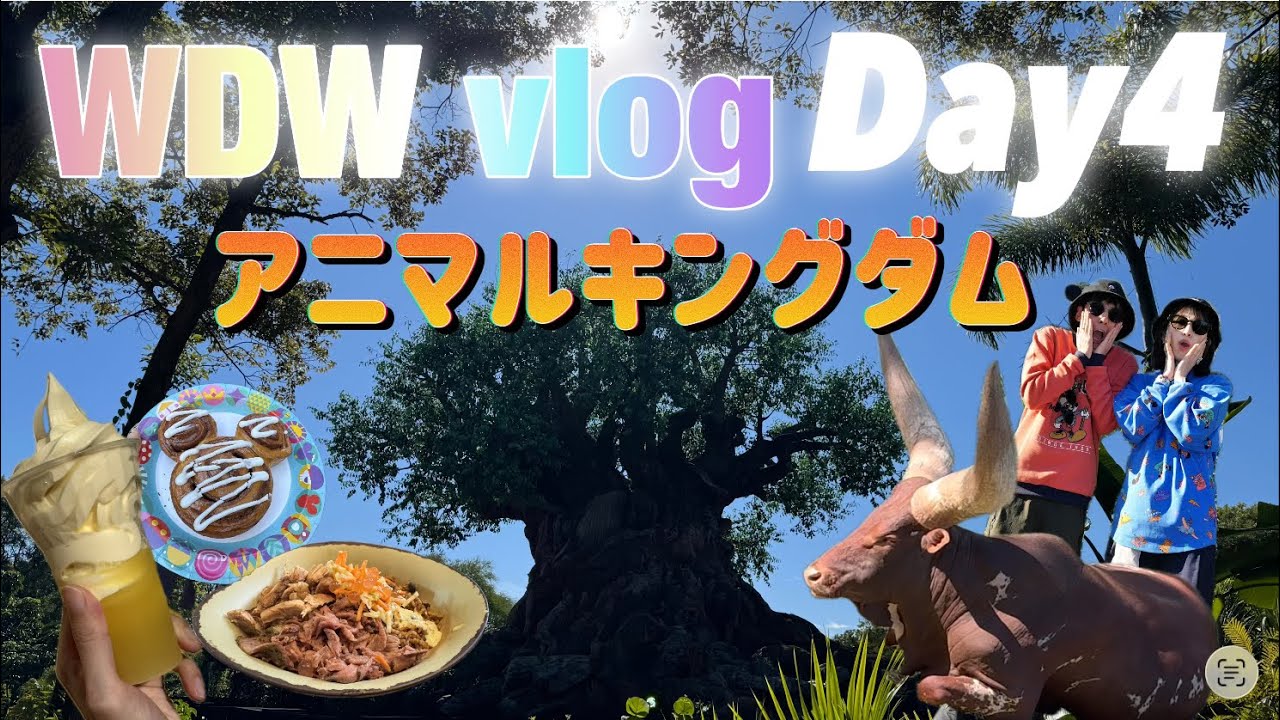 【2025年11月WDWvlog】４日目！アニマルキングダムで動物とスケールにびっくり‼️編