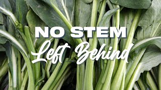 No Stem Left Behind by UF IFAS Extension Manatee County 127 views 1 year ago 53 minutes