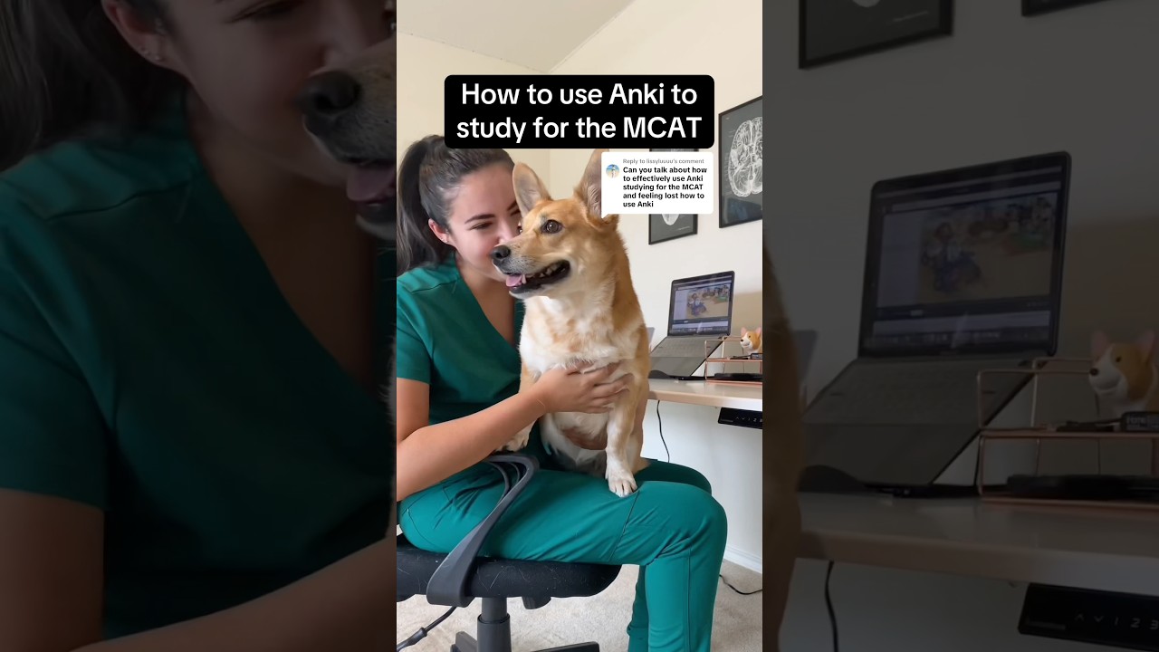 Anki tutorial for beginners ♡ PART 1 