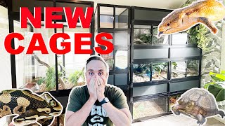 Building My Animals Dream Homes Luxurious Custom Cages