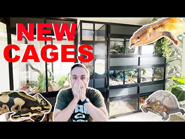 Building My Animals' Dream Homes! | Luxurious Custom Cages class=