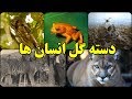 موجوداتی که انسان ها از سال ۱۹۰۰ تا بحال منقرض کرده اند
