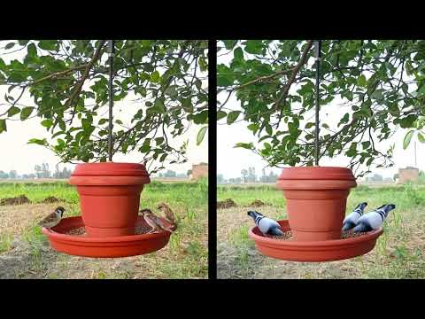 How to make