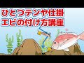 【真鯛】一つテンヤの海エビの刺し方【餌の付け方】