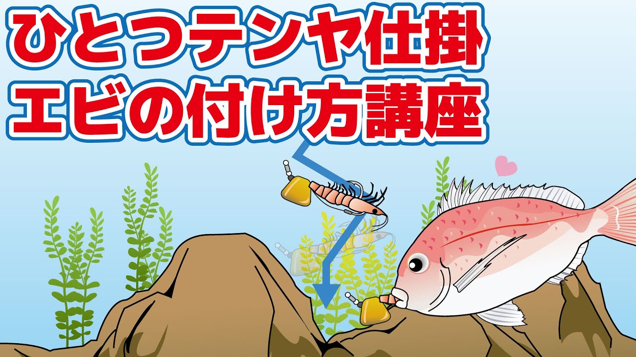 真鯛 一つテンヤの海エビの刺し方 餌の付け方 Youtube