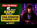 Sexual Reproduction in Flowering Plants Class12 RAPID REVISION for Reneet | 12th Chapter-1One Shot
