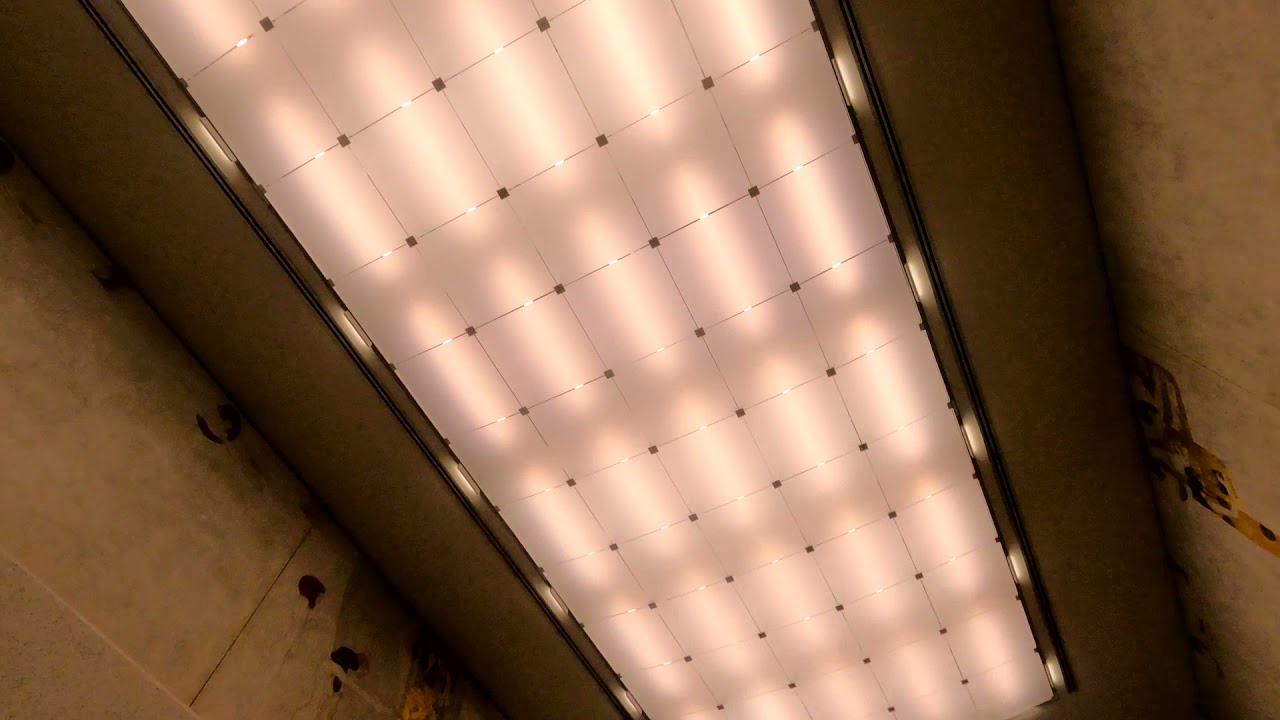 Dog Day Morning MASTER