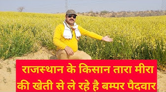 Taramira Youtube Taramira Youtube