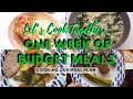Budget meal plan  cook with me  one week of budget dinners  single income family