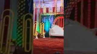 Saurabh Wedding Planner And Flower Decoration Ideas Stage Decoration