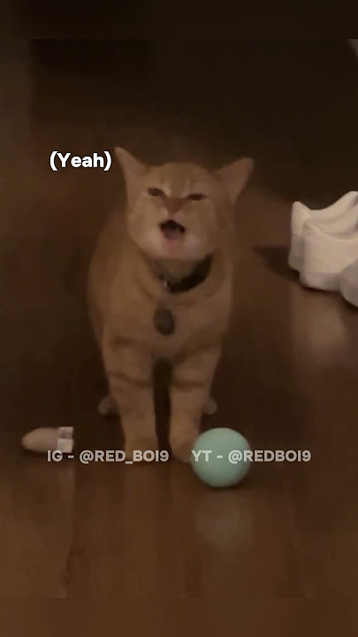 FE!N Fein - Travis Scott | Red Boi #memes #redboi #music