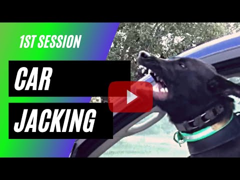 Car Jacking Intro.