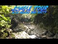 Crazy Jungle Tour with Mokko and Ratty