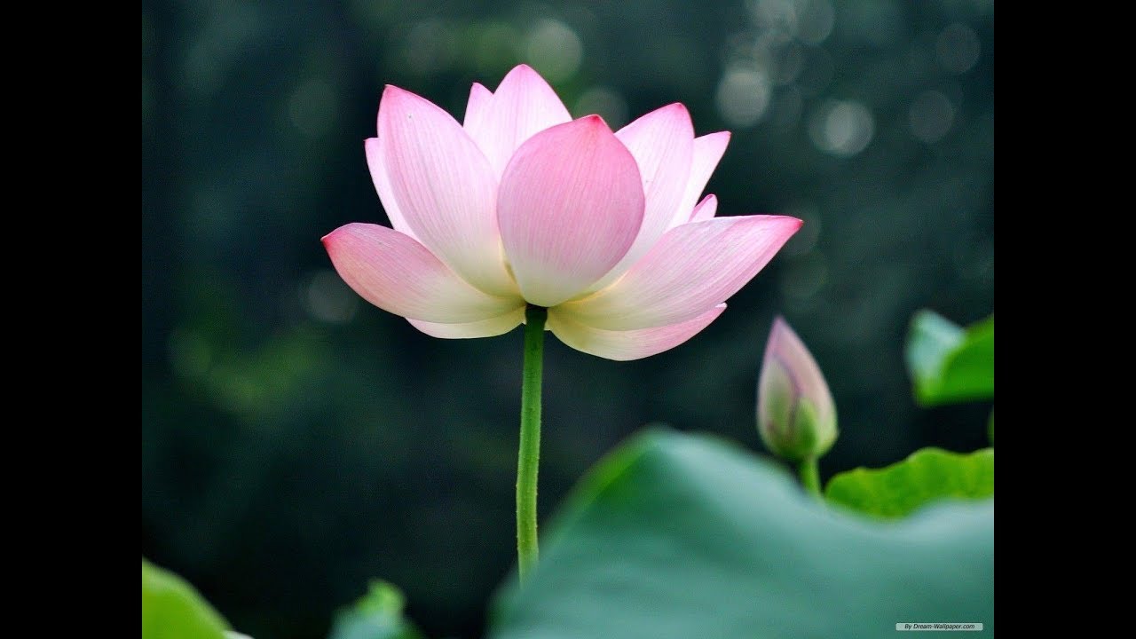 ലോക സംഗ്രഹ കര്‍മ്മവിതാനം ഏക ദൈവ വിചാര മുതാനം .........