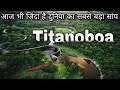 Titanoboa the biggest snake in the world | दुनिया का सबसे बड़ा सांप | THE HISTORICAL ERA