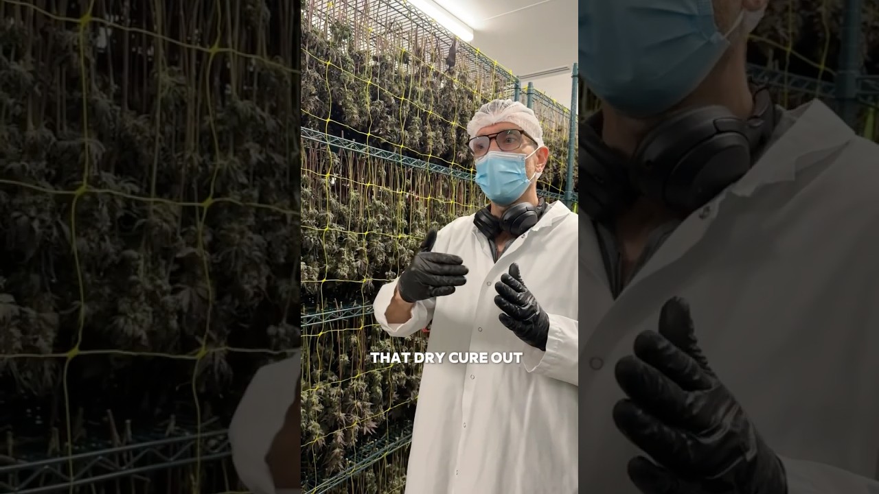 Dry Room Check with Jorg